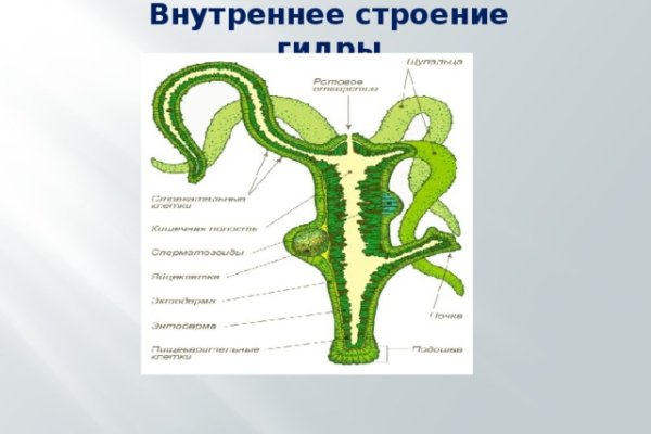 Официальный сайт омг omgomgomg5j4