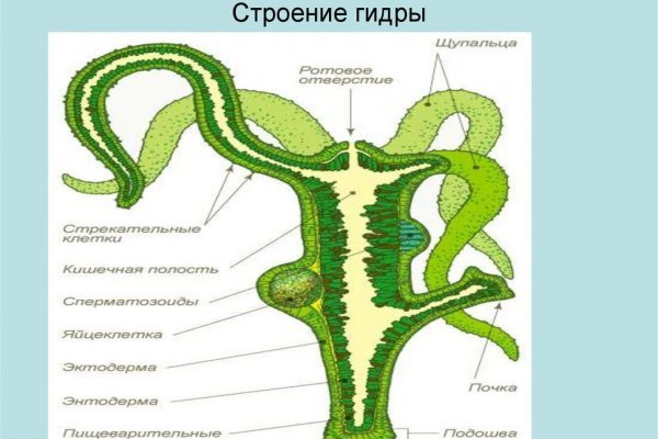 Актуальные ссылки омг